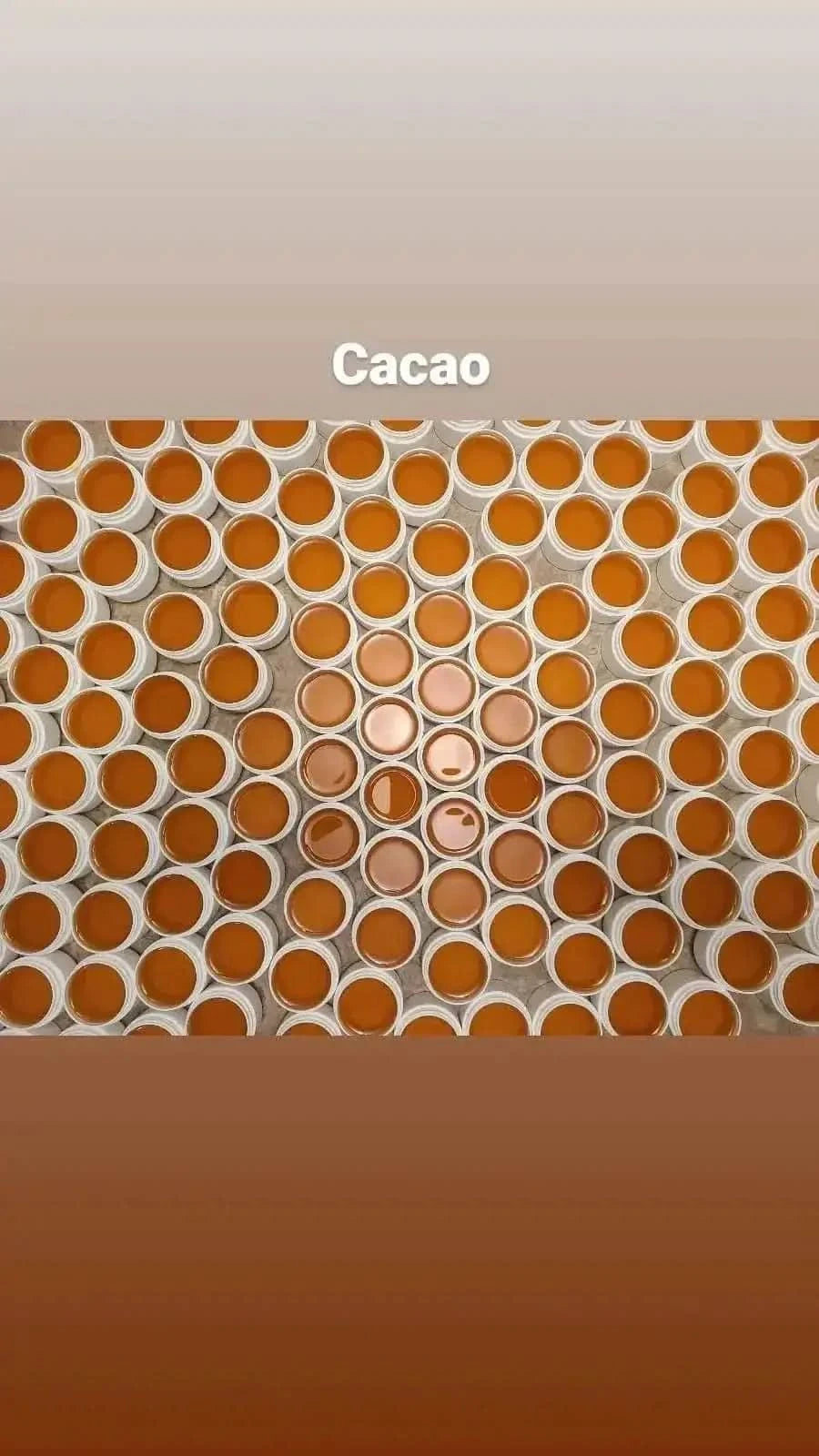 Multiple small containers of Haitian Gres Cacao hair growth ointment arranged in a pattern