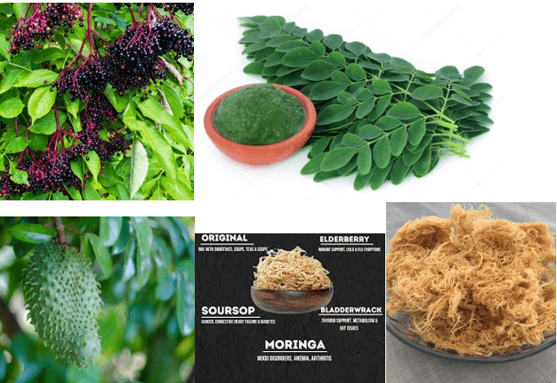 Do you know the benefit of these Natural herbs? - RoyalLuxsLLC