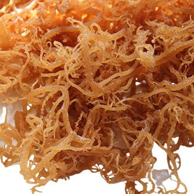 Dr.Sebi 100% Raw Ocean Wild Harvested Sea Moss ,from St. Lucia - Clean and Sun Dried! - RoyalLuxsLLC