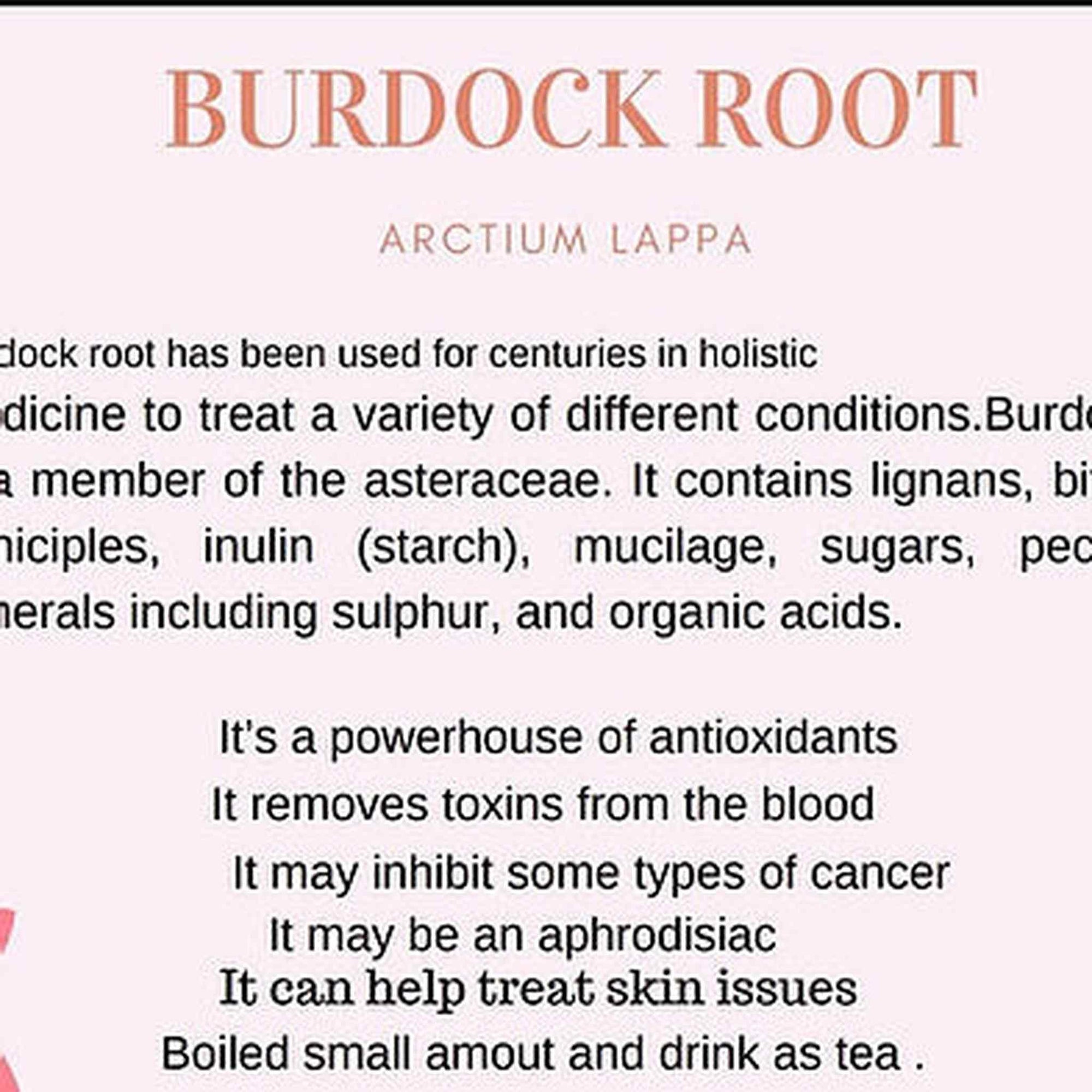 Raw pure Burdock Leaf, Arctium lappa - RoyalLuxsLLC